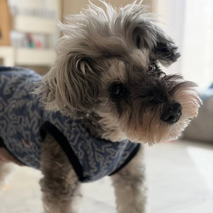 5954a9b1 042c 4ea5 bda0 0d0850fe4e07 1772864300777