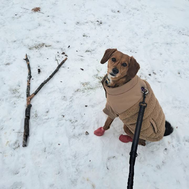 5954e663 1b79 4406 8a5a 67e36a6dee5e 1765290798184