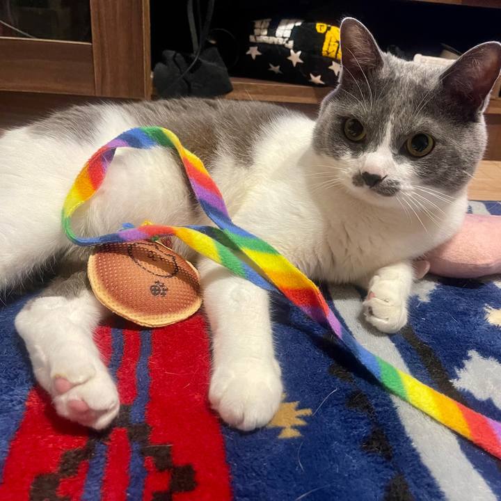 5954f429 8c27 4337 9036 7660af97a324 1653572087681