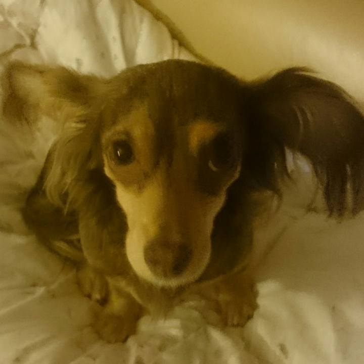 59550120 c28f 476c 9da1 abbf3dc4d70c 1518693144896