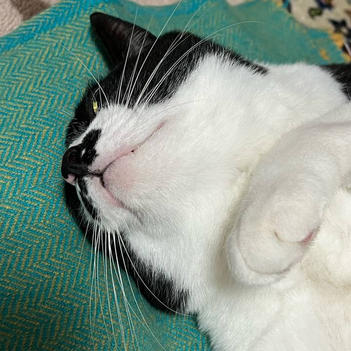 59550b96 05b2 4277 9814 d355142a856c 1768565949779