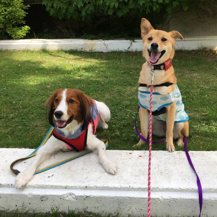 59552ac9 07ec 4f0b 8d2c 5be52cbf0b3a 1527301980404