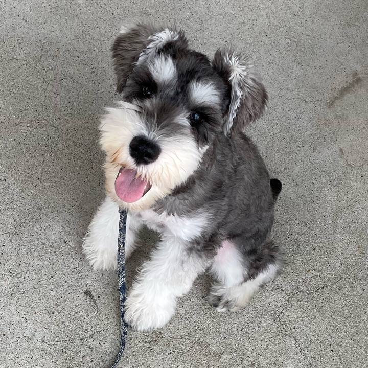 59553fe4 7670 4e8a bf02 1afccfdcaabd 1569125325286