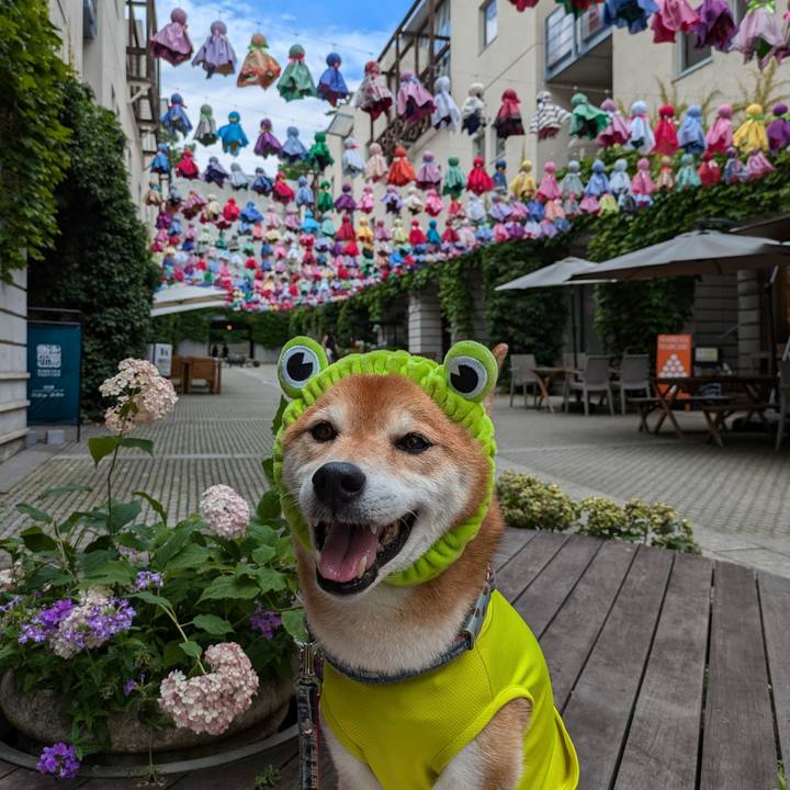 59554b09 a56c 466b 86ab ffa382473d9f 1720328279317