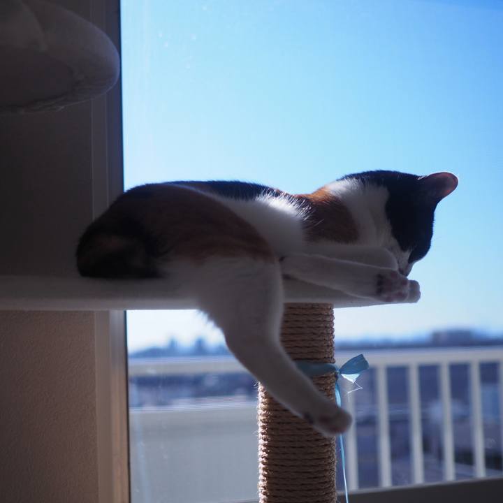 59557147 6db6 4d39 829c e795104c7eb8 1517306064251