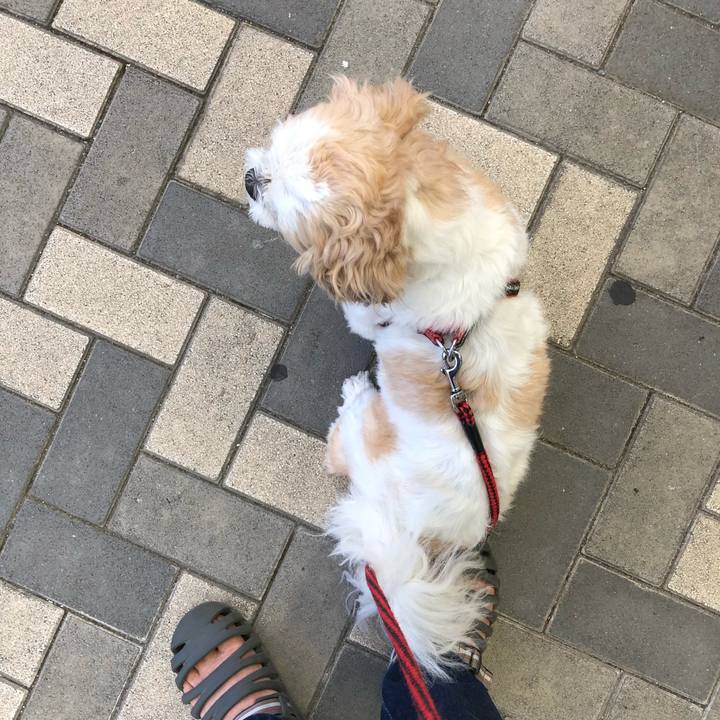 5955825b 91fd 45d4 bbb8 89e191e9e670 1570397997057