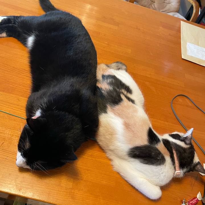 59559bd6 fa1f 465e 9585 fa450851fd04 1755571261898