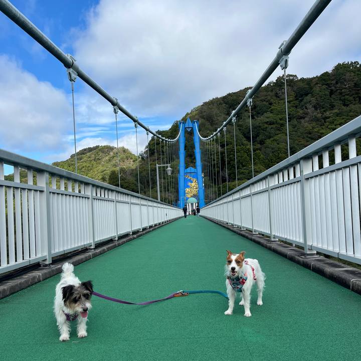 5955a514 3c91 41ed b43f 765e6b6b5e90 1760258330976