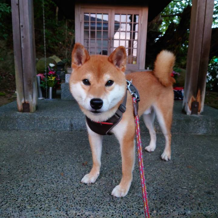 5955c379 f0f0 4e5e b5b4 340c36e07293 1758010750702