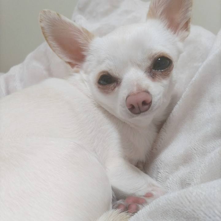 59560f9f 1c76 453e b091 712290c2f4c1 1771757591821