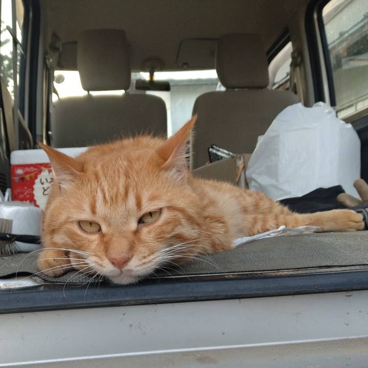 5956a180 13d7 488b 8548 860bcfe6559d 1747820651242