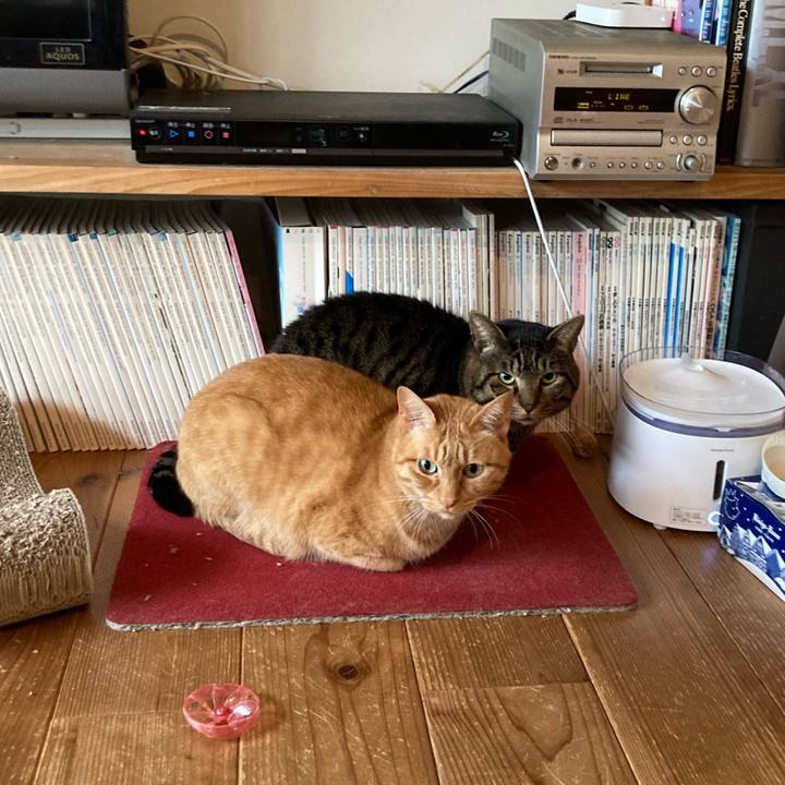 5956d11f cb49 4ff8 a8bf 7e67f3627f26 1674169895483