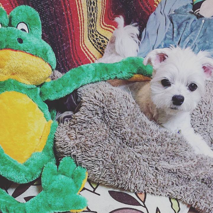 5956d276 cb15 40ca af62 08a0b6d07a4b 1539693995923