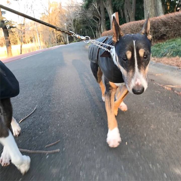 5956dcbe c698 4264 8bdc e7e96113dd00 1517220247820