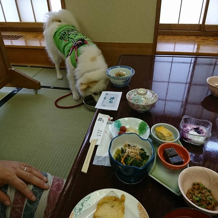 5956e005 93f4 4a75 afc7 07465771499d 1509059459753