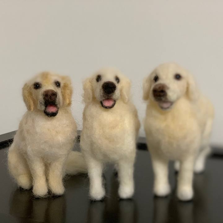 5957153e 292a 4ca8 aef3 f8d78171789f 1554642598067