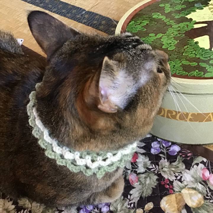 59572ad2 04c0 4b2b ad5b 3ba05509b58d 1646535315900