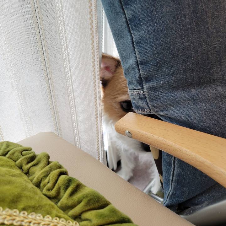 59573e0e 6a12 4954 8cd4 b81e39744a37 1658470920782