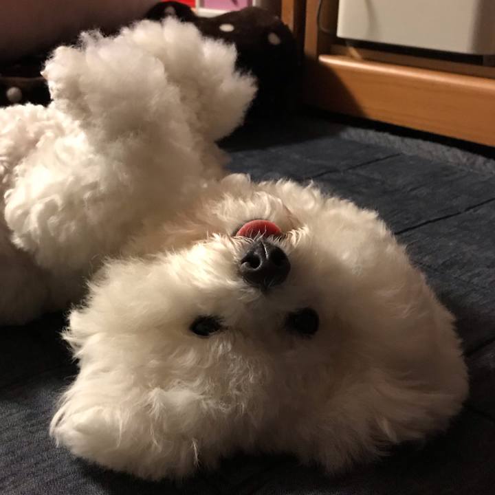 595746b3 7fa8 4eba b882 8b3047224e9b 1575034695291