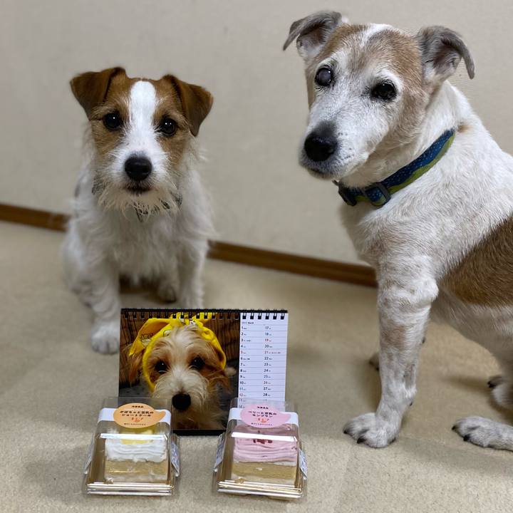 59574e6c 9102 4ee1 a0e0 55f3562c9c46 1678619713810