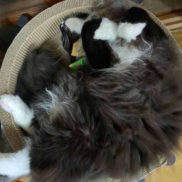 5957703b 31e1 486d 9d63 63c582ee5d60 1699355886984