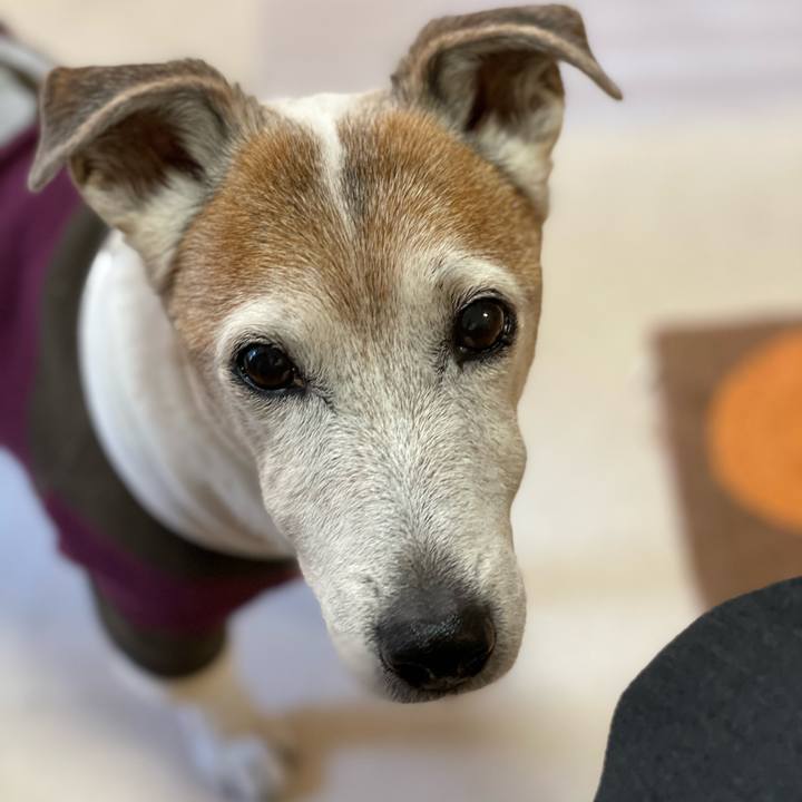 5957731a ab3b 4852 826f 51822ca68d94 1609563213428