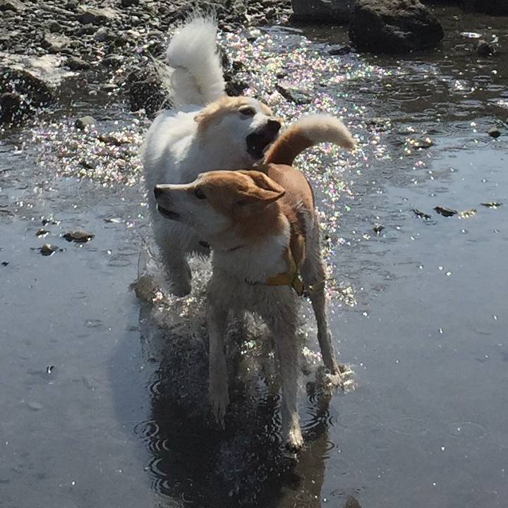 5957d2d9 0585 43f7 8bf6 4e640c402dba 1524391684420