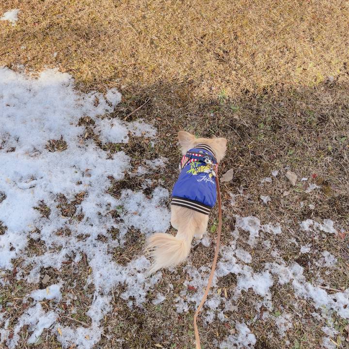 5957d431 f761 4ce9 95ce 3534fe43b3de 1767684435510