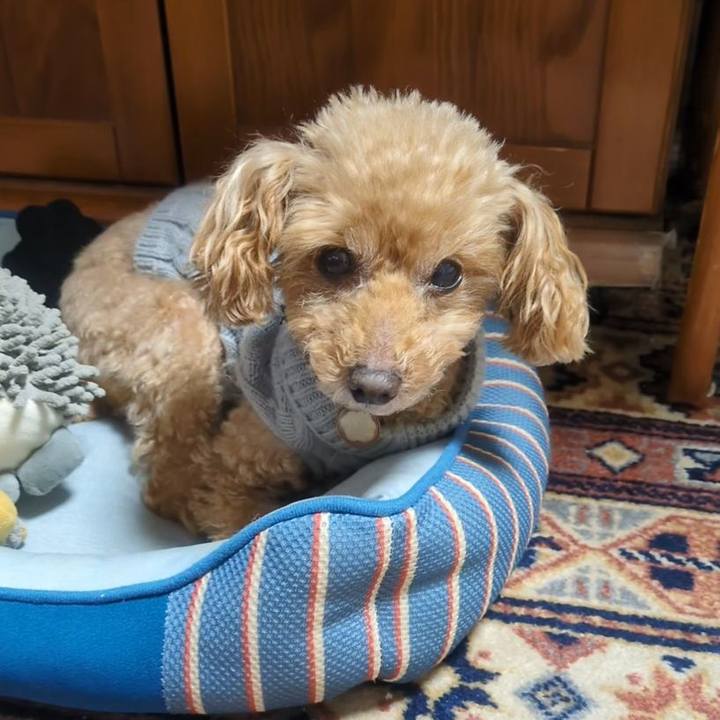 5957df81 901e 4827 a231 14067c1323c2 1762817723157