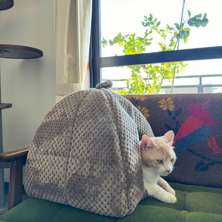 59582bad 5cb4 4e49 bf4c 251ec52363a3 1730954885891