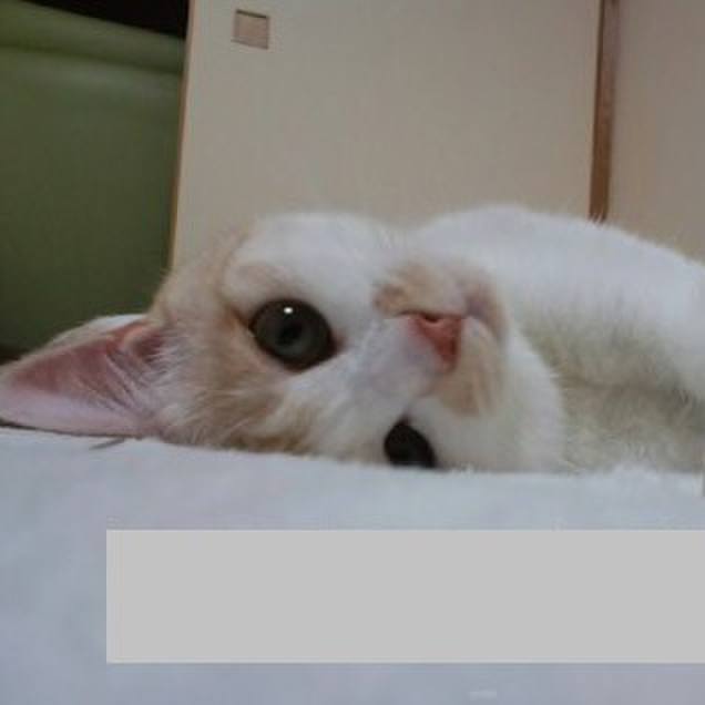 595837a9 d1e3 40d1 8916 7d5a8d62e836 1593238034596