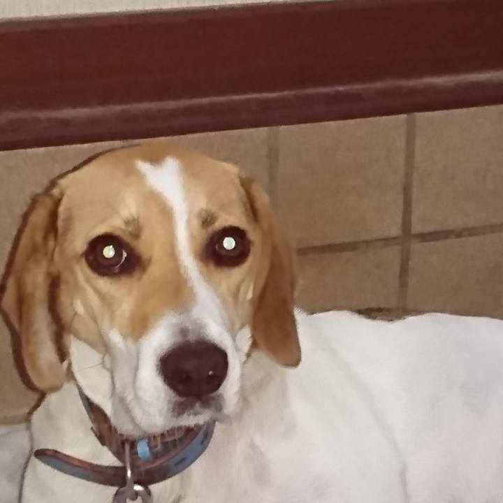 595843e0 e3d0 413f a6ac fe953d80a429 1569414803041