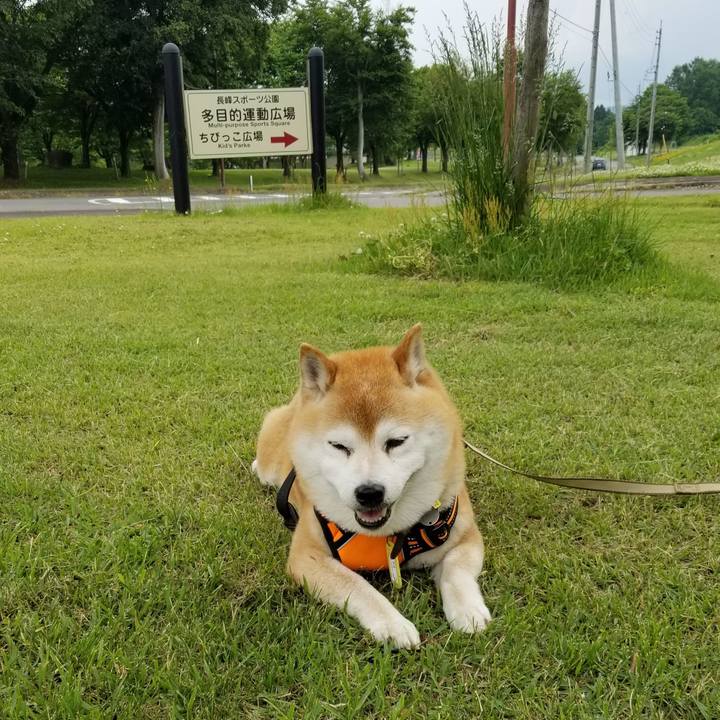 59585caf c81c 421b 86da 42e47ffddda2 1654926772038