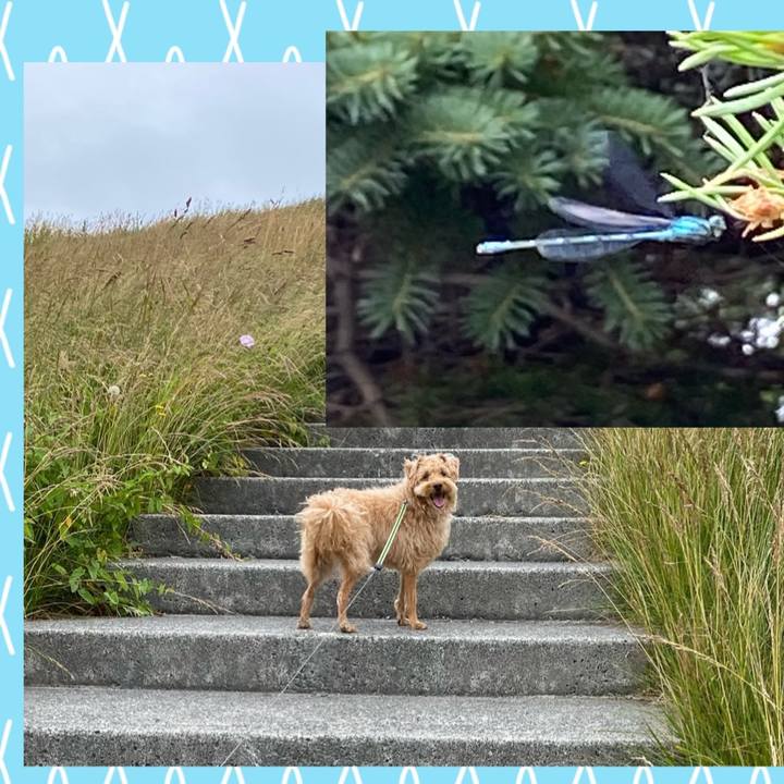 5958a766 360b 4ed4 8311 ea319cc75596 1625976974492