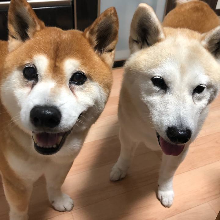 5958bac4 f077 4b33 be75 557df1520bd0 1562625614515