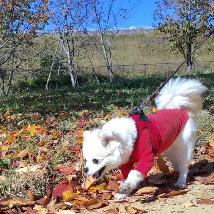 5958cf13 05de 43a4 b870 9dafd5157dd9 1764106553616