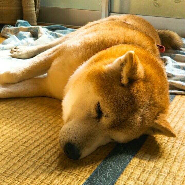 5958cf99 8076 446f 837b 6dff05ec53fb 1511002422488