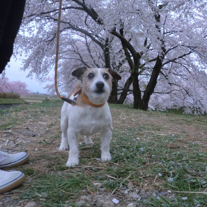 5958d34b 2c0b 4d61 82ab ee3797bdb47c 1523169447346