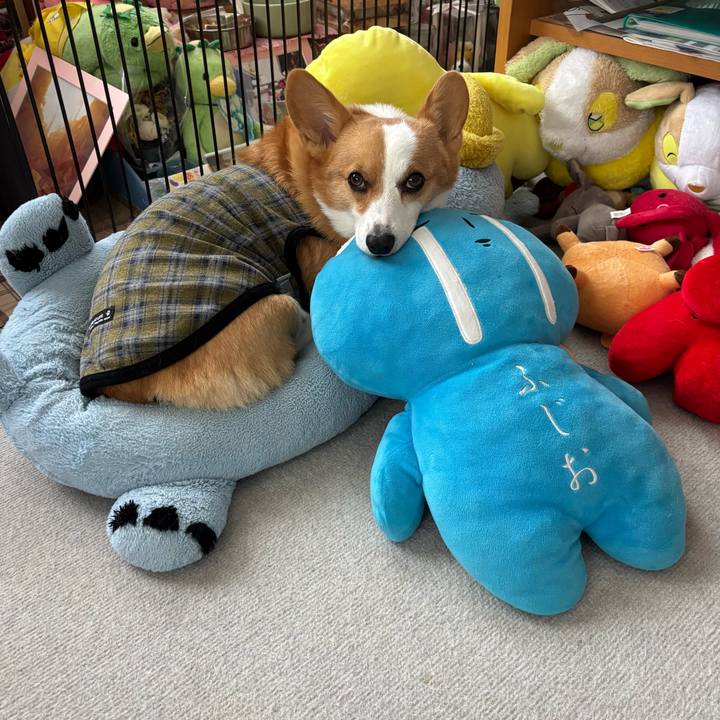 5958dcf2 2f43 4d39 9e09 a705e12bc44e 1760485793282