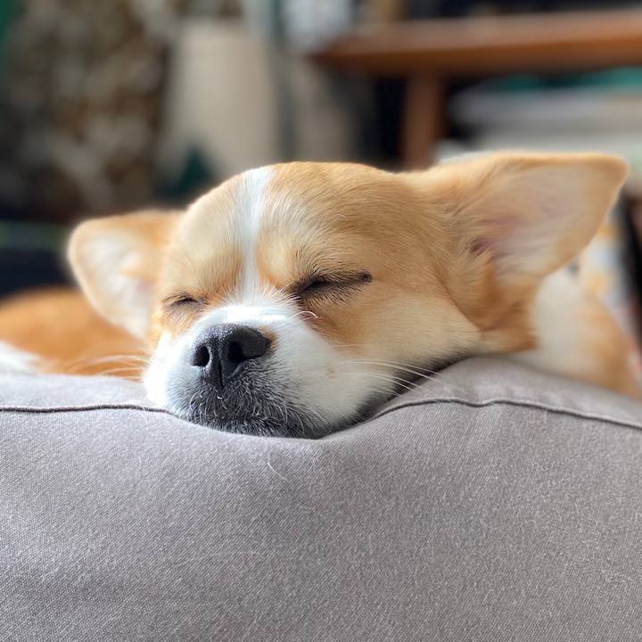 5958ed80 f6f6 46ec 8fdd 519b6ec48b24 1579603768650