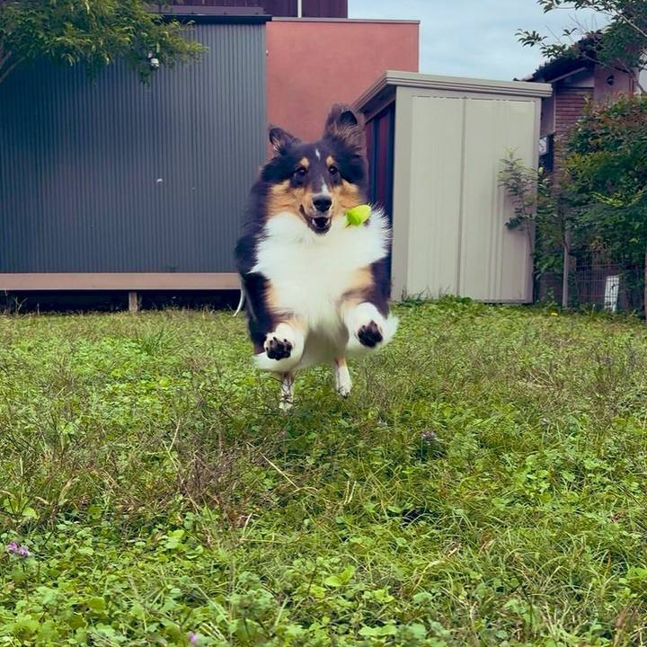 5959074c fe91 4fc3 a57f 771d93a7d40e 1762447957932