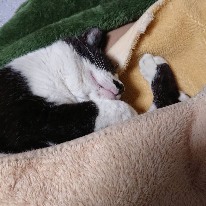 59591302 30f9 4117 8454 7c4dd8ca91a7 1651143986964