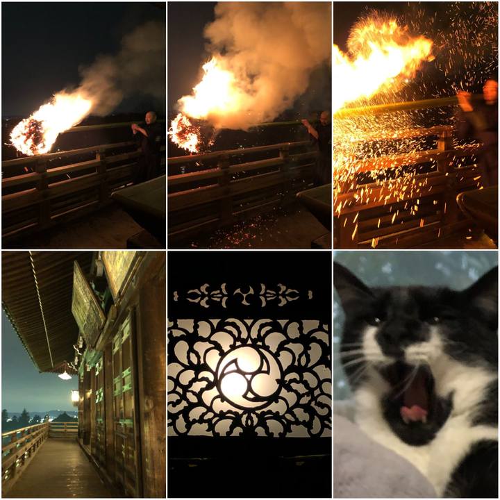 59592ecc 0da2 4f6a 9b99 957971886b60 1583661620143