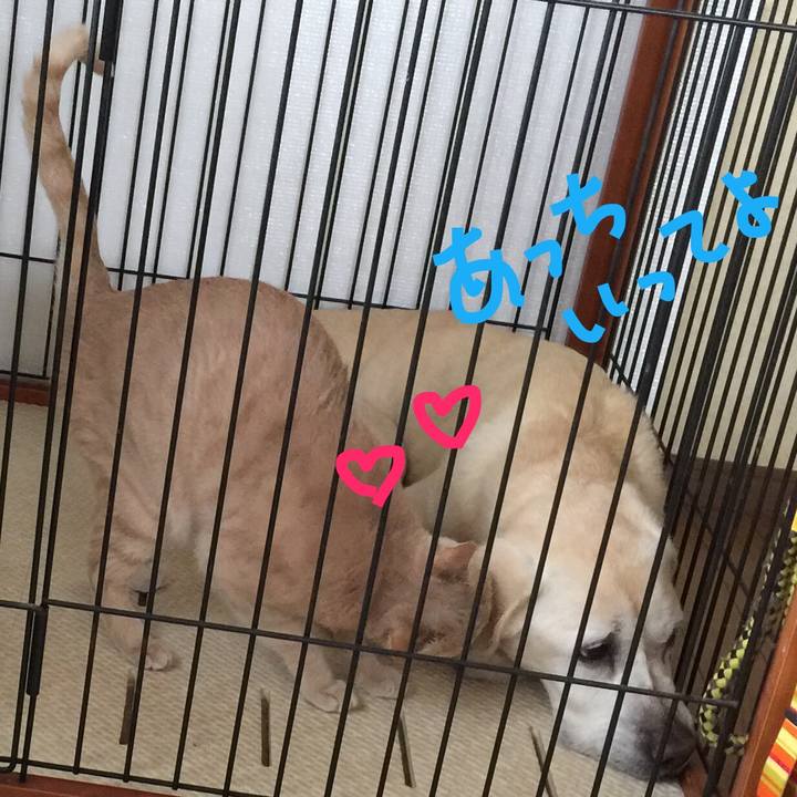 59594890 7c36 4f9c 93ef 265ed28f6d0e 1628109119151