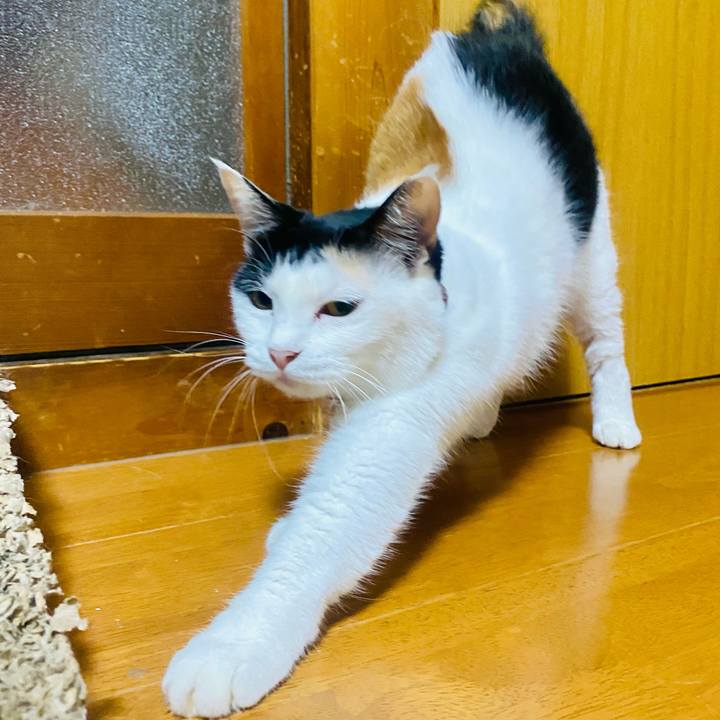 59595ffe 0afd 4ce9 9ffb ef87dbf8594c 1662068886214