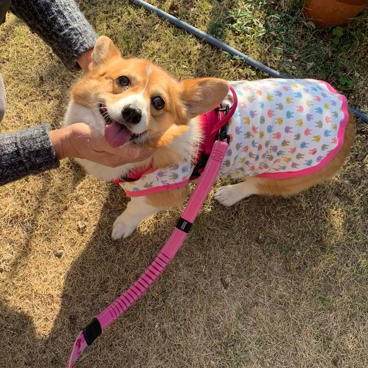 59596200 acb1 47a5 afc6 81cdab5036a8 1607827315188