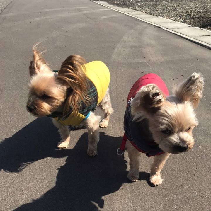 595975c8 3e62 45bb 804f a71b58a7d8bd 1585390189455