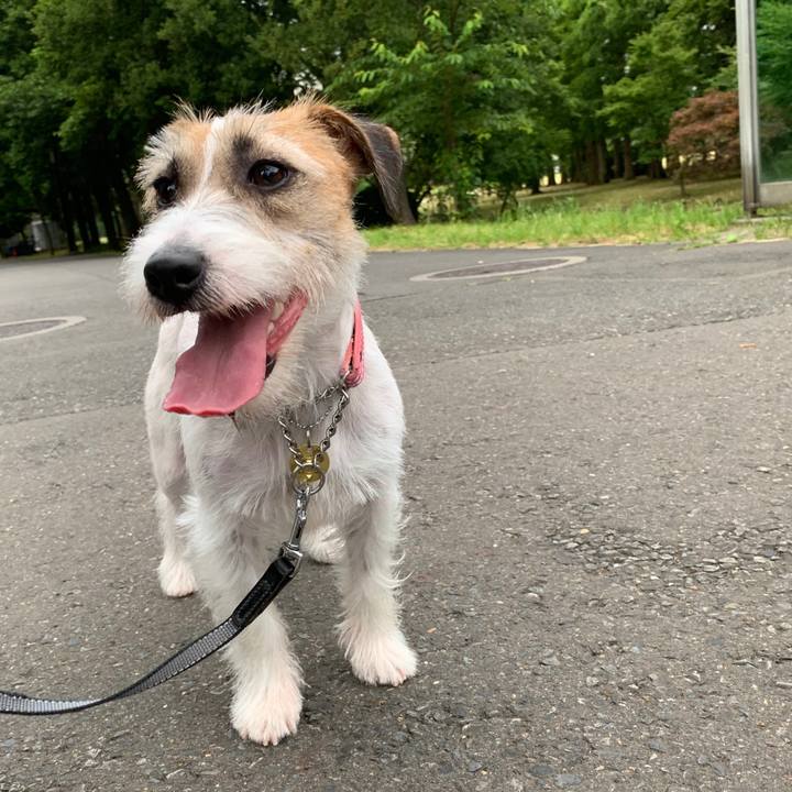 59597854 5c98 4a61 8fb5 edb36d92e8f1 1591968370768