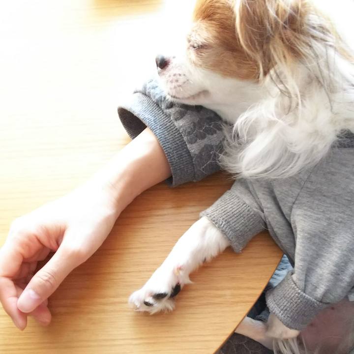 5959adf1 647b 431e a0f9 6540e4b1f3c4 1511770661531