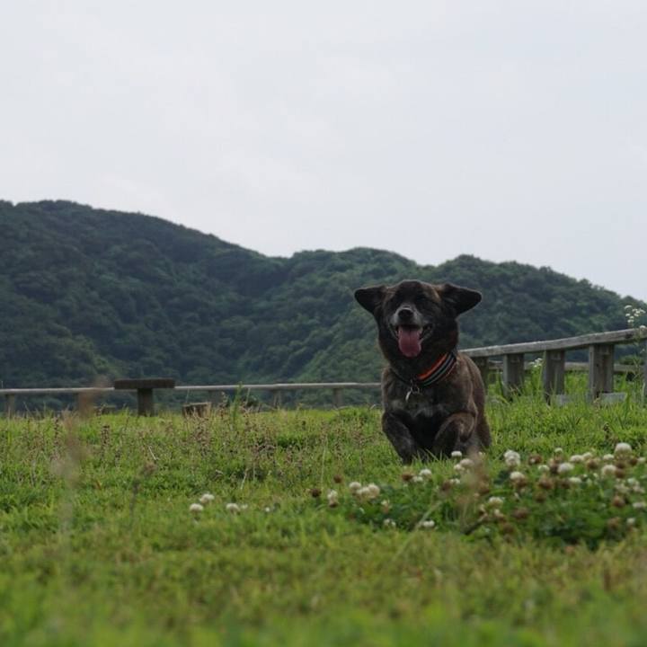 5959dd29 520a 4159 bee7 b97e2da1b740 1531181311977